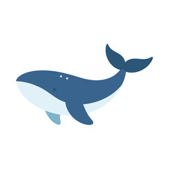 Fototapeta premium Blue whale swimming flat vector illustration