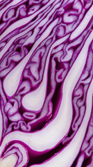 Obraz premium Close-up of sliced purple cabbage revealing intricate natural patterns and fresh vegetable texture. 