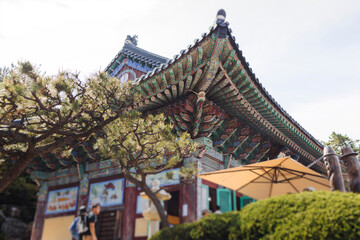 Fototapeta premium Busan, South Korea, Haedong Yonggungsa Temple view, Buddhist temple in Gijang-gun, coastal sea landscape with shrine facade exterior, Gijang County, Northern Busan, Yeongnam region, sunny spring day
