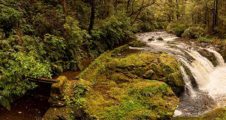 The ruined weir and water race at the waterfall on Six Mile Creek which the water for the hydro electrical power station for 1922 t0 1975. Murchison, NewZealand.