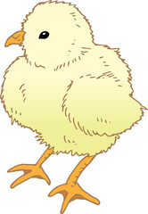 ひよこ © 貴美子 川田