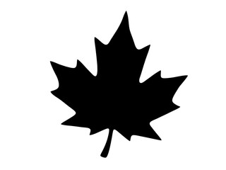 Fototapeta premium Detailed black silhouette of a maple leaf symbolizing autumn foliage and nature as a clean minimalist vector icon isolated on transparent background.