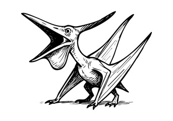 Pterodactyl hand drawn simple sketch vector illustration © Shutoda