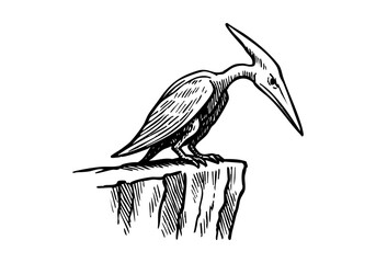 Pterodactyl hand drawn simple sketch vector illustration © Shutoda