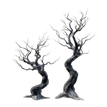 Two twisted, leafless trees with gnarled branches and textured bark.