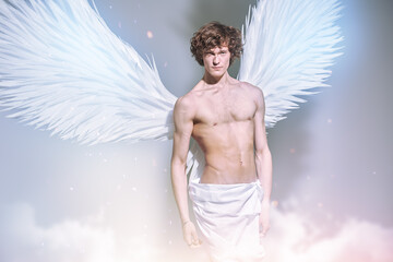 Naklejka premium Eternal Winged Warrior