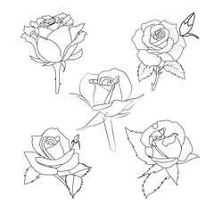 Hand-Drawn Rose Flower Line Art Vector Collection