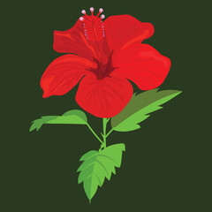 Vibrant Red Hibiscus Tropical Flower Vector Illustration