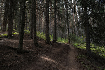 Obraz premium A picturesque mountain landscape near Almaty, Kazakhstan. A popular tourist destination in the Tien Shan Mountains.
