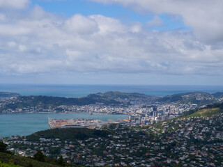 Fototapeta premium Wellington City and Harbor Skyline View from Mt Kaukau, New Zealand