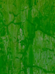 green grunge wall