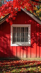 Red shed with window beneath crimson fall foliage