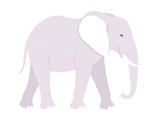 Fototapeta premium A light purple elephant with large ears