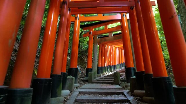 Forward walk up stone steps through torii gates at Fushimi Inari Shrine