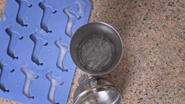 On the countertop, a stream of water flows into a shaker, next to which stands a blue silicone tray with compartments in the shape of dachshunds for freezing ice. Ice falls.