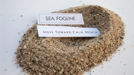 Serene Beach Sand Arrangement with Inspiring Words for Mindfulness and Relaxation in Natural Calm Scenery