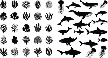 Various marine life silhouettes including sharks whales dolphins jellyfish and corals isolated on white for ocean nature sea underwater design. © Mokbul