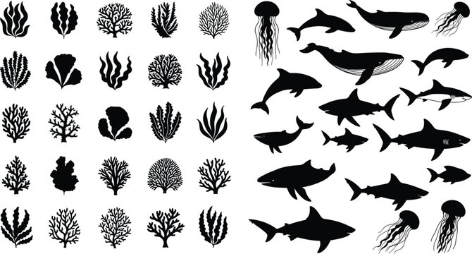 Various marine life silhouettes including sharks whales dolphins jellyfish and corals isolated on white for ocean nature sea underwater design.