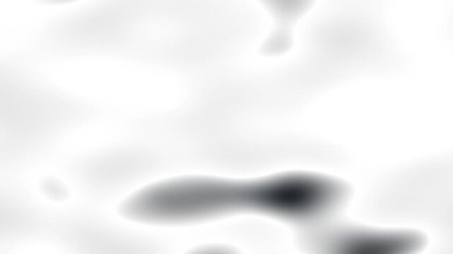 Abstract white and gray background with soft shapes and textures for design.