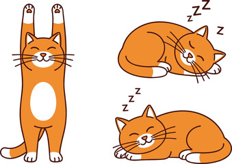 Obraz premium Cute orange tabby cat illustration set with stretching and sleeping poses for pet care and animal welfare branding vector