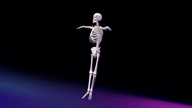 Animation of a human skeleton in various poses against a dark background
