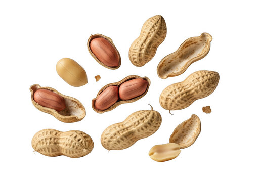 Scattered peanuts in shells and out isolated on transparent background