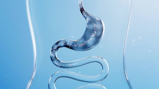 Viruses and bacteria reduce gastrointestinal motility, produce waste and toxins, enteritis and intestinal diseases. Peristalsis of small intestinal villi slow down.Digestive system health concept, 3D.