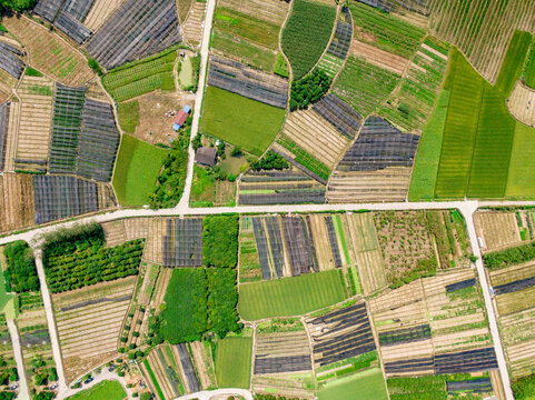 Aerial View of Vegetable and Rice Planting Base