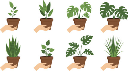 Obraz premium Set of hands holding various potted houseplants including monstera snake plant and tropical greenery isolated on grey background