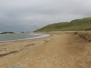 Empty sandy beach with coastal dunes and calm sea under cloudy sky. Natural landscape with open space for text.