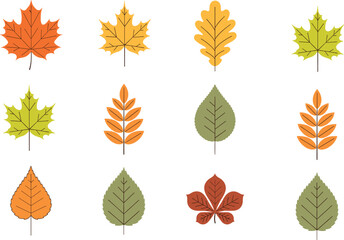 Obraz premium Autumn leaf vector collection with colorful fall foliage icons in flat style for seasonal nature and eco friendly design