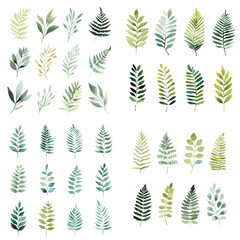 Collection of watercolor green leaves and botanical branches isolated on white background. Hand painted foliage elements ideal for eco branding, wedding decor and natural designs.