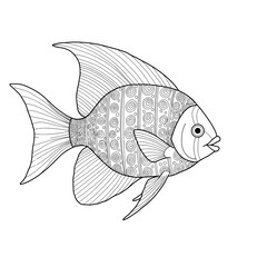 Fototapeta premium Line art image of a fish with detailed patterns for coloring in black and white