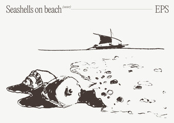 Seashells on Sandy Beach by Ocean Waves Sketch © TheMountBirdStudio