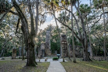 Obraz premium Bulow Plantation Ruins Historic State Park, Florida 