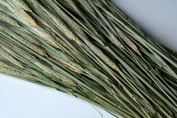 Obraz premium ears of wheat on the white table