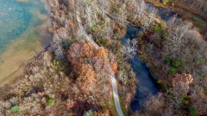 Gorgeous Fall Color Pop
