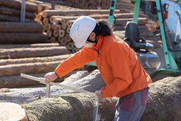 林業など第一次産業で働く人ヘルメットの作業員　ノギスで丸太を図る、不動産の木材材料のイメージ(多摩木材センター協同組合プロパティ許可ずみ）