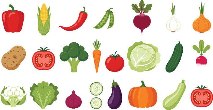 Large set of fresh organic vegetables vector icons with bell pepper tomato broccoli pumpkin and cabbage isolated on grey background