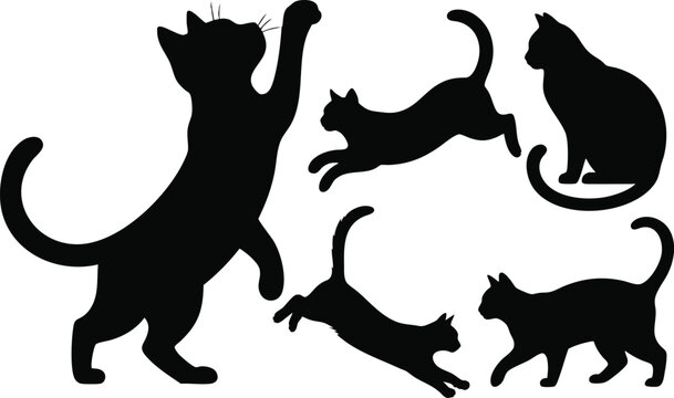 Shadow Cat Gestures Graphic Set, Minimalist Cat Movement Illustrations, Playful Black Cat Action Poses, Dynamic Feline Silhouette Collection, vector, illustration, silhouette