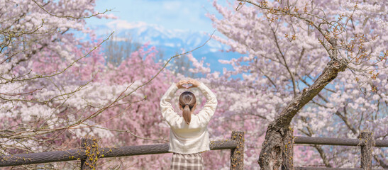 Woman tourist sightseeing Sakura Cherry Blossom in Spring, happy traveler travel in Tendo Park or...