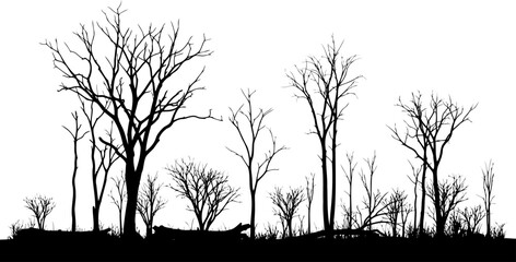 Burnt forest landscape with dead tree trunks silhouette