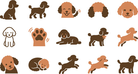 Charming Collection of Poodle Dog Character Illustrations Depicting Various Poses, Emotions, and Actions for Pet-Themed Graphics and Cute Animal Designs