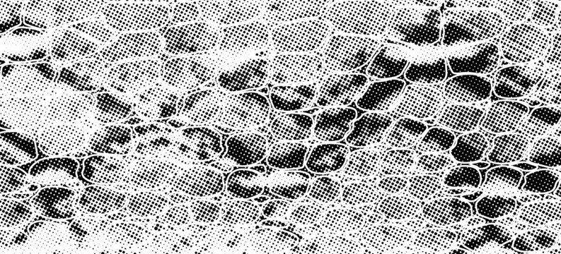 Snakeskin pattern imitation. Lines and spots structural texture. Cool and artsy faux leather background. Abstract vector illustration. Black isolated on white. EPS10