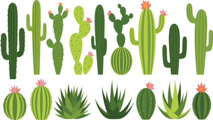 Cactus and succulent plants vector illustration set with various desert species, green flat botanical collection for nature, gardening, decor, and eco themed design projects © Sanjida