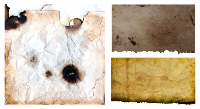 Collection of aged and burnt paper textures with rough edges