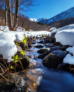 雪解け水と雪山の風景