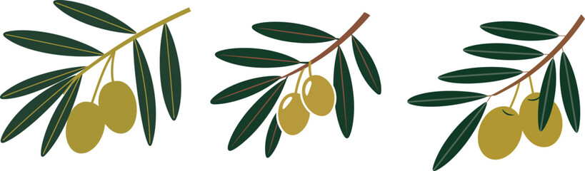 Obraz premium Three olive branches illustration with ripe fruits and green leaves on a white background