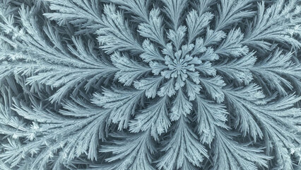 Frosted Fern Pattern