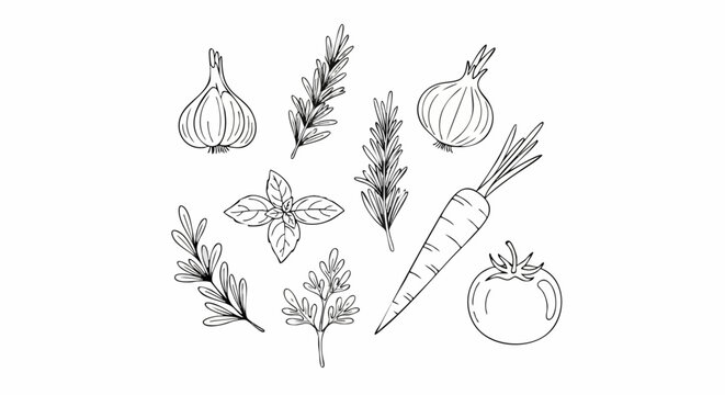 Hand Drawn Vegetables and Herbs Collection.